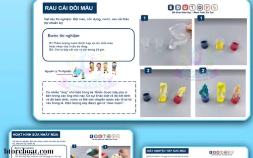 Bộ đồ chơi giáo dục TOYS (1)