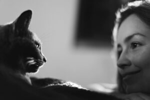 Pet Safety Keeping Your Furry Friends Out of Danger