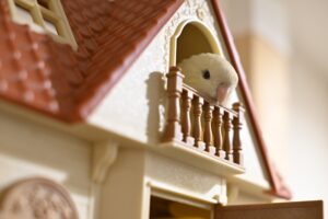 The Secret Life of Pets Understanding Their Behavior